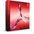 Adobe Acrobat Professional v10, Windows, English, BOX