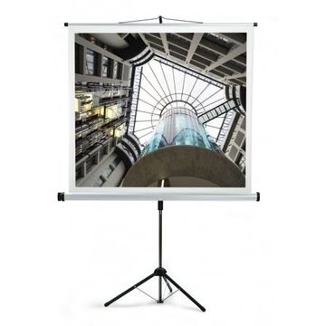 Ecran proiectie cu trepied Medium CombiFlex Budget, 1.8 x 1.8metri