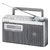 Radio portabil Panasonic RF-U350EG-S, 1W