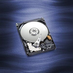 HDD Laptop Western Digital Blue, 320GB, 2.5 inch, 5400RPM