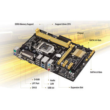 Placa de baza Asus H81M-C, socket LGA1150, chipset Intel H81, mATX