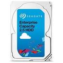 Seagate Enterprise Capacity, 1TB, 7200 RPM, SAS 12GB/s