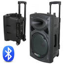 Boxa Portabila Ibiza, 200W, 8 inch/20cm, USB/MP3/Bluetooth