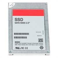 SSD SSD 401-AAJR, 2,5 inci, 256GB Dell SATA