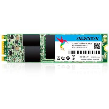 SSD Adata Ultimate SU800 256GB, SATA3, M.2 2280