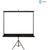4World Ecran de proiectie cu suport 203x152 (100'',4:3) alb mat
