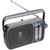 Panasonic Radio portabil RF-2400EG-K
