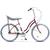 Bicicleta Pegas Strada 2 - Visiniu Cochet (AL)