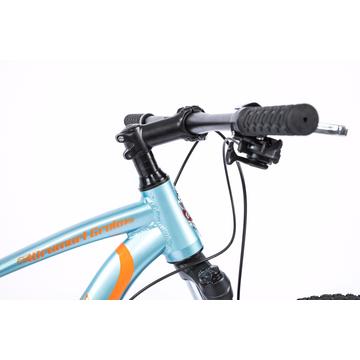 Bicicleta Pegas Drumuri Grele 17' -  Bleu