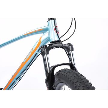 Bicicleta Pegas Drumuri Grele 17' -  Bleu
