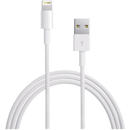 Apple Cablu incarcare si date 1 Metru USB catre lightning IOS model MD818 fara ambalaj