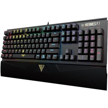 Tastatura Gamdias HERMES P1 RGB