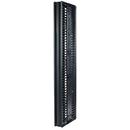 APC Vertical Cable Manager for 2 & 4 Post Racks, 84''H X 6''W, Double-Slided wit