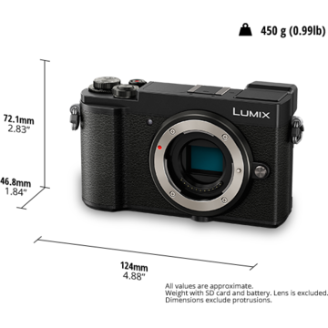 Aparat foto digital Panasonic Lumix DC-GX9WE + 12-32 mm + 35-100 mm Black