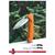 Victorinox Hunter Pro Orange 0.9410.9