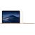 Notebook Apple New MacBook Air 13 with Retina 13" 2K i5-8210Y 8GB 256GB UMA UHD 617 Mac OS Mojave Gold / RO Keyboard