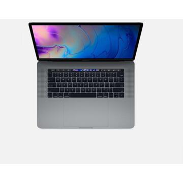 Notebook Apple APLLE PRO 15 6C I7 16 256 RP555X-4 RO SP G