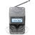Sony Radio Portable, XDR-V20DH gri