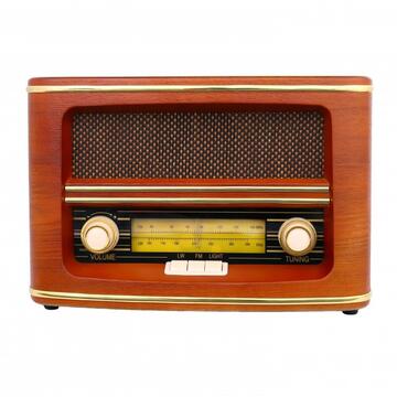 Camry Radio CR 1103