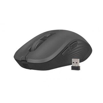 Mouse Natec Wireless Optical mouse ROBIN 1600 DPI,  Black