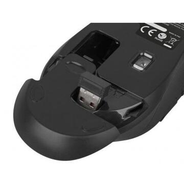 Mouse Natec Wireless Optical mouse ROBIN 1600 DPI,  Black