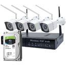 Pachet Kit supraveghere video PNI House WiFi550 NVR si 4 camere wireless, 1.0MP cu HDD 1tb inclus