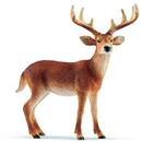 Schleich Wild Life Whitetail Deer - 14818