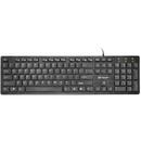 Tastatura Tracer TRAKLA45922 keyboard USB Black