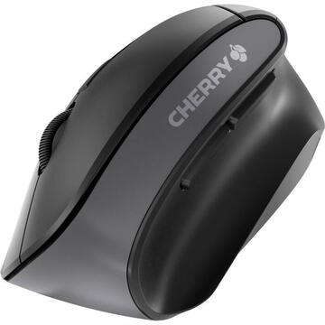 Mouse CHERRY MW 4500 Wireless