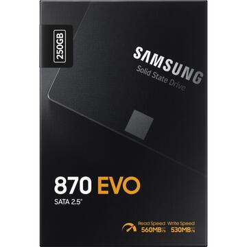 SSD Samsung 870 EVO 250 GB, SSD (SATA 6 GB / s, 2.5 inch, internal)