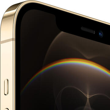 Smartphone Apple iPhone 12 Pro Max    512GB Gold