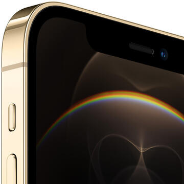 Smartphone Apple iPhone 12 Pro        128GB Gold