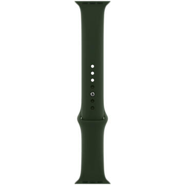 Apple Curea Original Sport Band Apple Watch 38mm / 40mm Cyprus Green (marime S/M &amp; M/L) (Seasonal Fall 2020)