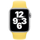 Apple Curea Original Sport Band Apple Watch 38mm / 40mm Ginger (marime S/M &amp; M/L) (Seasonal Fall 2020)