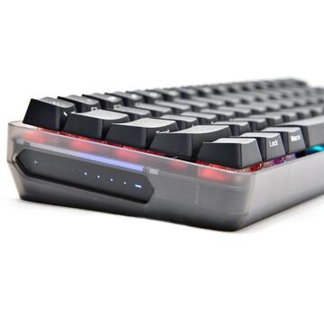 Tastatura Asus Gaming mecanica cu sau fara fir ROG Falchion Cherry MX Red neagra iluminare RGB