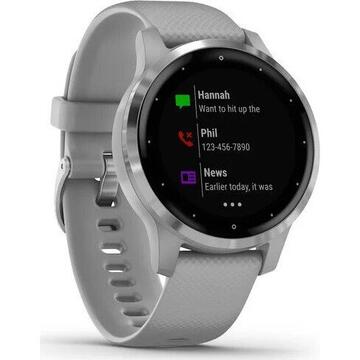 Smartwatch Garmin vivoactive 4S grey/silver