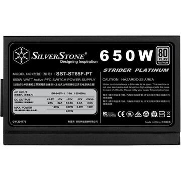 Sursa SilverStone SST-ST65F-PT v1.1, PC PSU