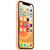Husa Apple Husa Original Silicon iPhone 12 / 12 Pro, MagSafe, Cataloupe