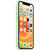 Husa Apple Husa Original Silicon iPhone 12 / 12 Pro, MagSafe, Pistachio