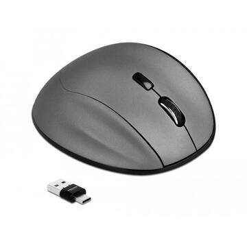Mouse Delock 2.4 GHz - black, anthracite