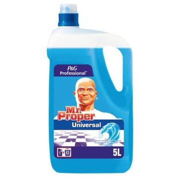 Mr. Proper Proffesional for floors and various surfaces Ocean 5l