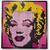 LEGO Art - Andy Warhol's Marilyn Monroe 31197, 3341 piese
