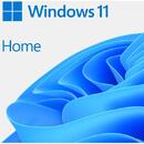 Sistem de operare Microsoft OEM Windows 11 Home ENG x64 DVD