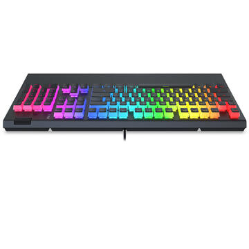 Tastatura SPC GEAR GK650K OMNIS KAILH BROWN RGB PUDDING EDITION