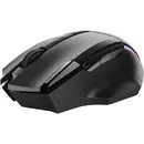 Mouse Trust Gaming GXT 131 RANOO RGB Wireless Gaming Negru