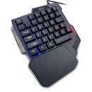 Tastatura Inter-Tech Gaming Etherno KB-3035 Negru Iluminare RGB