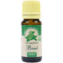 Aparate aromaterapie si wellness PNI Ulei esential de Brad (Abies sibirica) 100% pur fara adaos, 10 ml