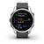 Smartwatch Garmin Fenix 7S 42mm Silver/Graphite