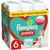 Pampers Pants Boy/Girl 6 132 pc(s)