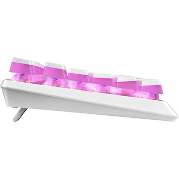 Tastatura Modecom Volcano Lanparty Pudding Edition RGB Alb